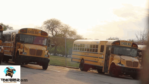 Two School Buses With Foundation Logo GIF