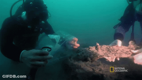 Two Scuba Divers Are Looking At A Piece Of Coral In The Water With A National Geographic Logo In The Corner GIF