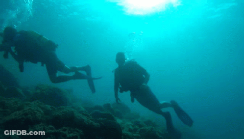 Two Scuba Divers Are Swimming In A Blue Ocean GIF