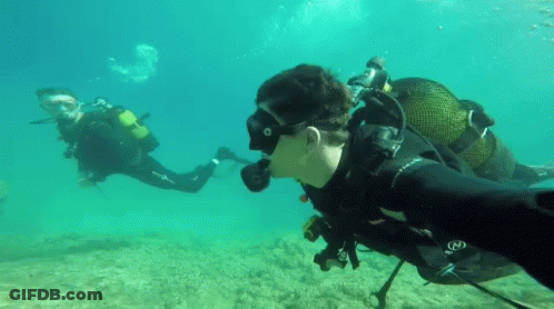 Two Scuba Divers Are Swimming In The Ocean And One Of Them Is Wearing A Black Wetsuit With The Letter N On It GIF