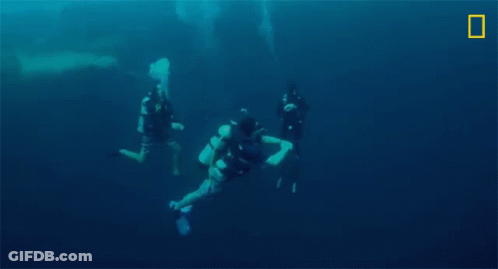 Two Scuba Divers Are Swimming In The Ocean With A National Geographic Logo In The Background . GIF