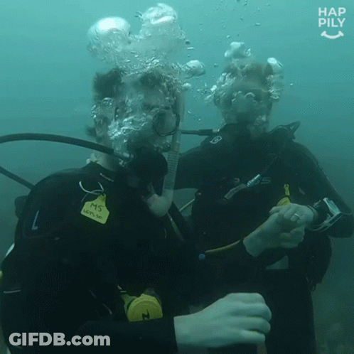 Two Scuba Divers Hap Pily GIF