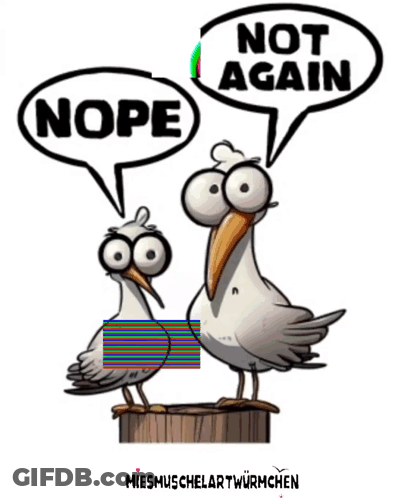 Two Seagulls Are Standing Next To Each Other With A Speech Bubble Saying Nope GIF