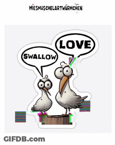 Two Seagulls Are Standing Next To Each Other With Speech Bubbles Saying Love And Swallow GIF