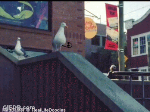 Two Seagulls Are Standing On A Ledge In Front Of A Building With A Banner That Says Hungry Buffet GIF