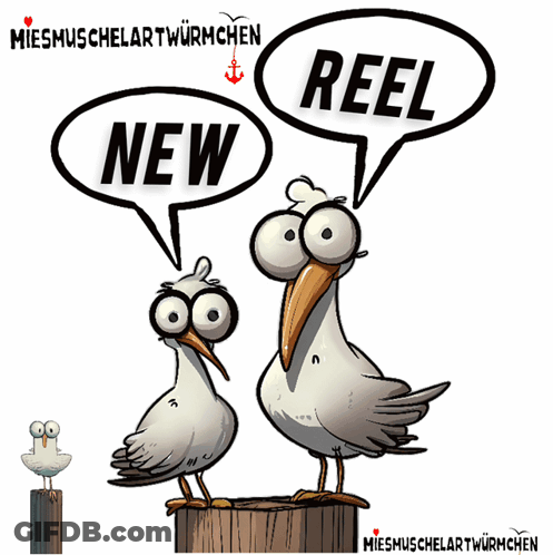 Two Seagulls Are Standing On A Wooden Post With Speech Bubbles That Say New And Reel GIF