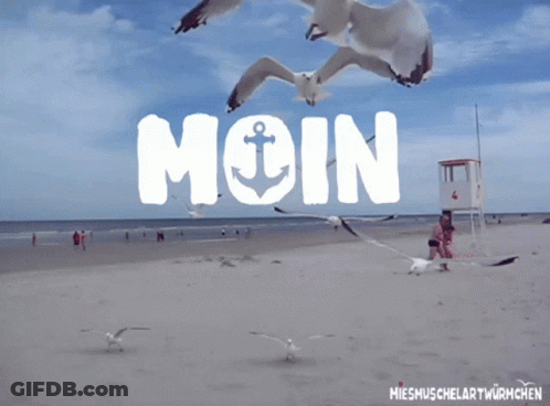 Two Seagulls Flying Over A Beach With The Word Moin Written In The Sky GIF