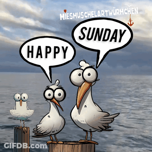 Two Seagulls On A Dock Saying Happy Sunday GIF