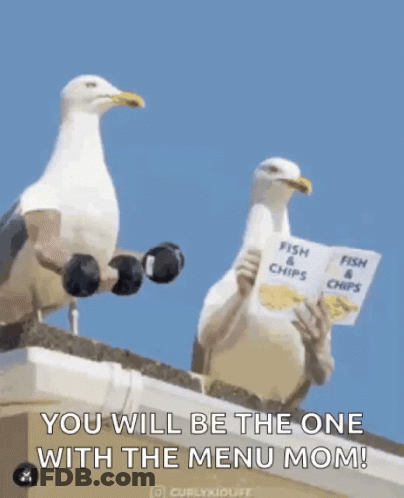 Two Seagulls On A Roof Holding Dumbbells And A Book Titled Fish & Chips GIF