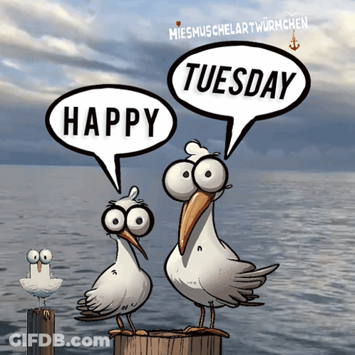 Two Seagulls On Dock Saying Happy Tuesday GIF