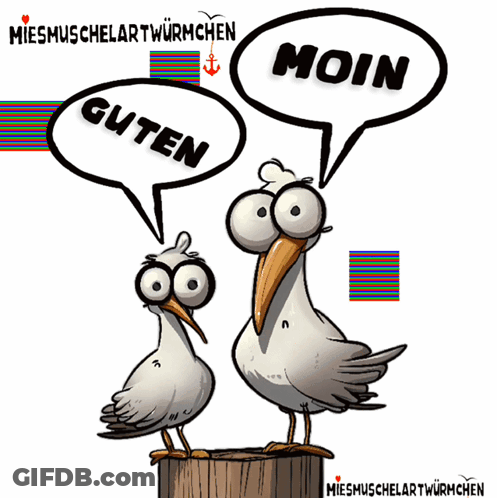 Two Seagulls Saying Moin And Guten GIF