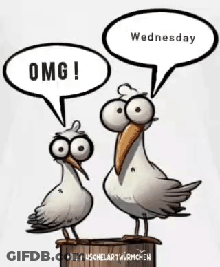 Two Seagulls Saying OMG And Wednesday GIF