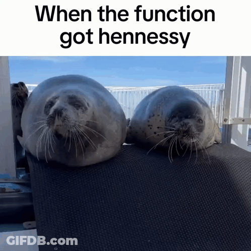 Two Seals Are Sitting Next To Each Other With The Caption " When The Function Got Hennessy " Above Them GIF