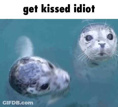 Two Seals Are Swimming In The Water With The Words `` Get Kissed Idiot '' Written Above Them . GIF