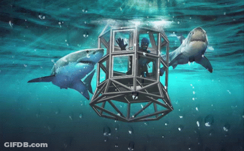Two Sharks Are Swimming Around A Man In A Cage In The Ocean GIF