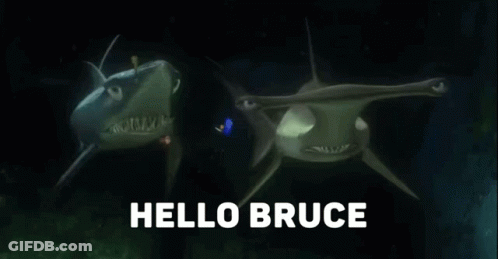 Two Sharks Swimming With Hello Bruce GIF