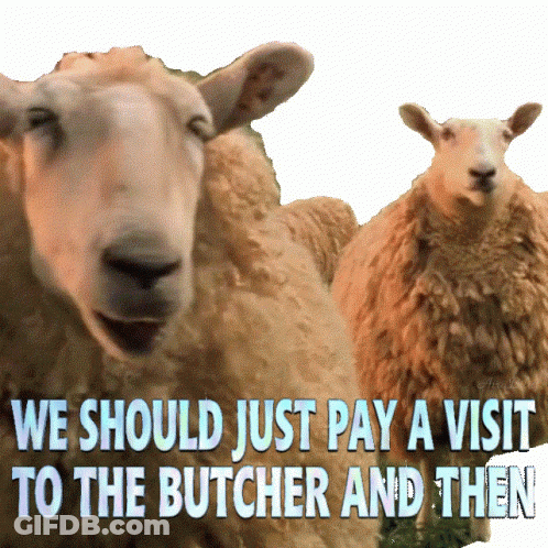 Two Sheep Saying We Should Just Pay A Visit To The Butcher And Then GIF