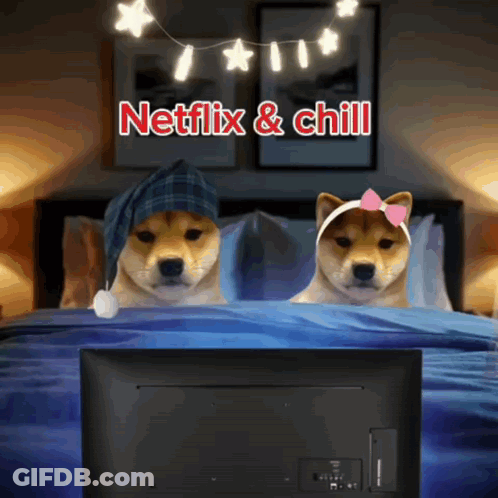 Two Shiba Inu Watching Netflix And Chill GIF