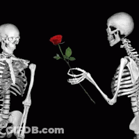 Two Skeletons Standing Next To Each Other One Holding Red Rose GIF