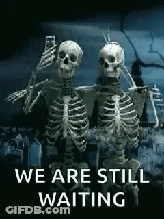 Two Skeletons Taking Selfie GIF