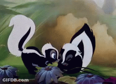 Two Skunks Standing In Flower Field GIF
