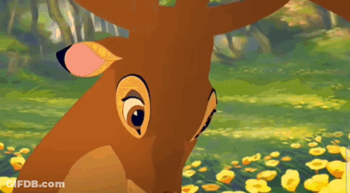 Two Skunks Standing In Flower Field GIF