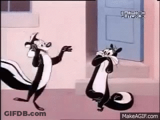 Two Skunks Standing On Sidewalk In Front Of Door GIF