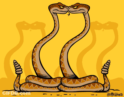Two Snakes Cartoon With Mr Whate GIF