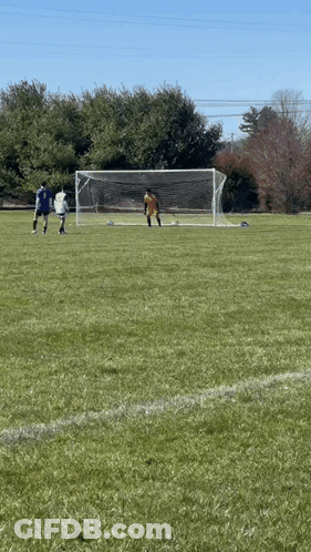 Two Soccer Players And Goalie GIF