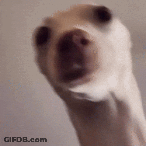 Two Soccer Players Hugging Couples Eat Free GIF