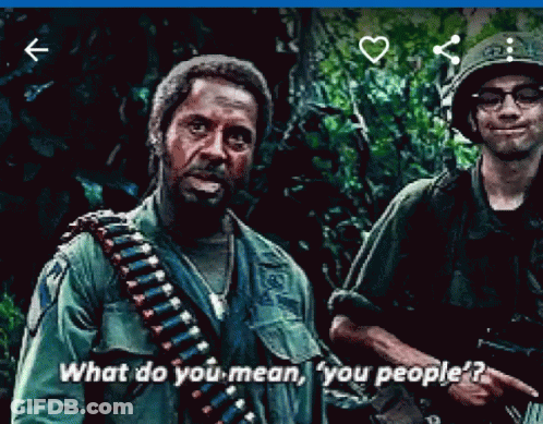 Two Soldiers Are Standing Next To Each Other And One Of Them Is Asking What Do You Mean You People GIF