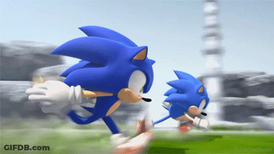 Two Sonic Meme Racing GIF