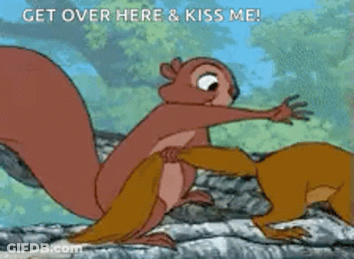 Two Squirrels Are Standing Next To Each Other On A Rock And One Says Get Over Here And Kiss Me GIF