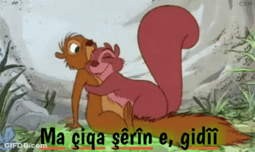 Two Squirrels Hugging Saying Ma Ciga Serifin E Gidii GIF