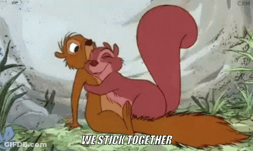 Two Squirrels Hugging We Stick Together GIF