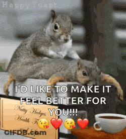Two Squirrels Laying On Each Other Next To Nutty Hedges Health Food And Spa Sign GIF