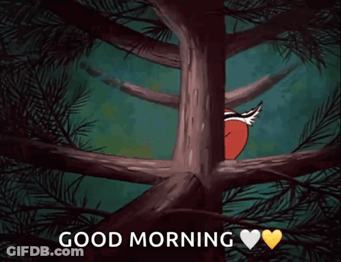 Two Squirrels Peeking Behind Tree Branch Good Morning GIF