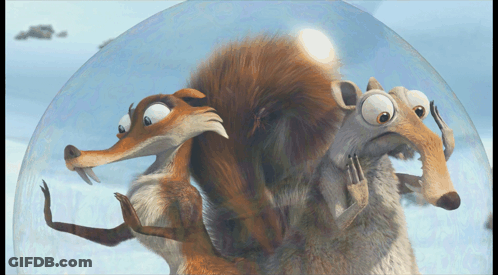 Two Squirrels Standing Next To Each Other In Glass Dome GIF