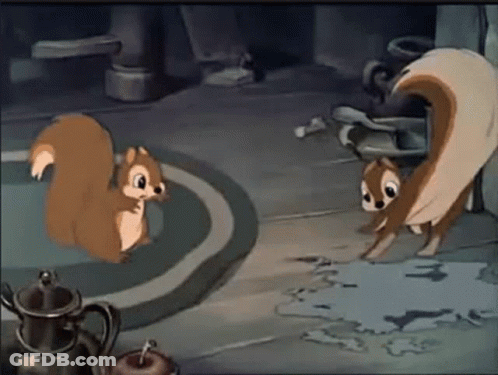 Two Squirrels Standing Next To Each Other GIF