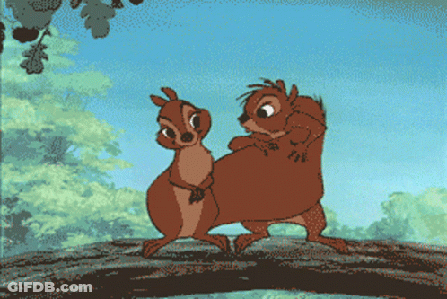Two Squirrels Standing Together GIF