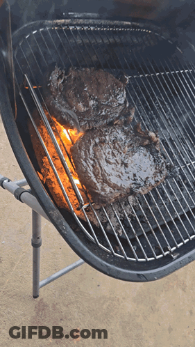 Two Steaks Cooking On Grill With Flames GIF
