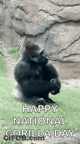 Two Stormtroopers Dancing In Elevator GIF