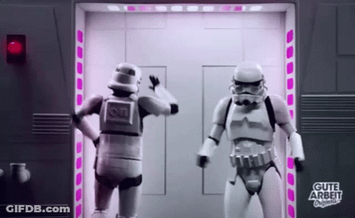 Two Stormtroopers Standing In Front Of Door GIF