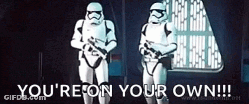 Two Stormtroopers Standing With You're On Your Own GIF