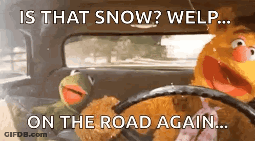 Two Stuffed Animals Are Sitting In A Car With The Words Is That Snow Welp On The Road Again GIF