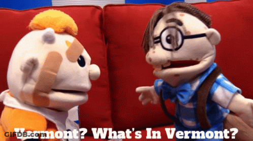 Two Stuffed Animals Are Sitting On A Red Couch With The Words Vermont What 'S In Vermont GIF