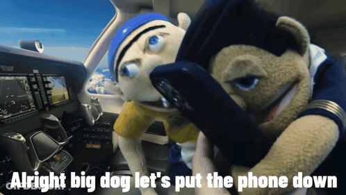 Two Stuffed Animals In A Cockpit With The Words Alright Big Dog Let 'S Put The Phone Down Below Them GIF