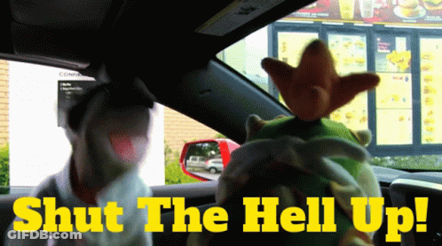 Two Stuffed Animals In Car With Shut The Hell Up GIF