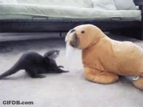 Two Stuffed Animals Playing In Living Room GIF