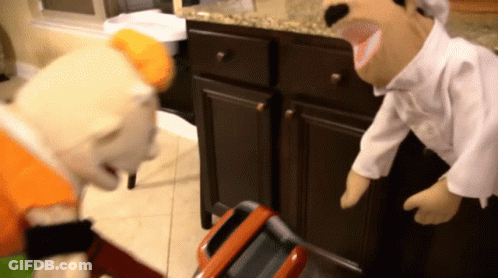 Two Stuffed Animals Standing In Front Of Cabinet GIF